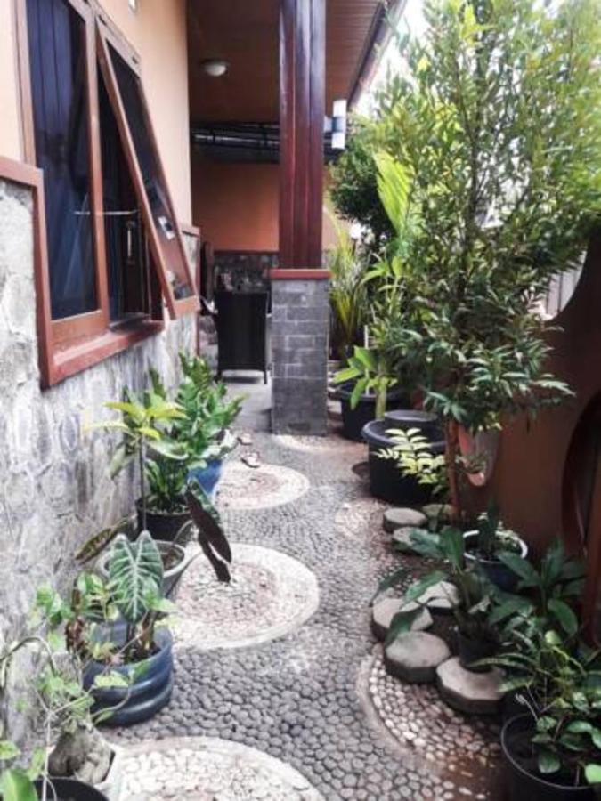 בניוואנגי Mocca Guest House מראה חיצוני תמונה